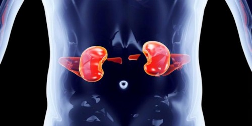 Banyak Minum Bisa Memperparah Penyakit Ginjal