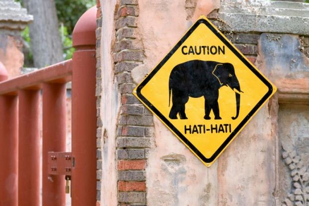 Bahasa Asing Lunturkan Keberadaan Bahasa Indonesia