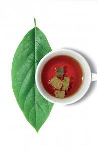 Daun Avokad untuk Ginjal Anda