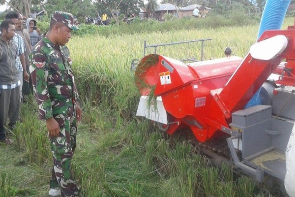 Babinsa Merauke dampingi petani saat pelatihan mesin mini combine