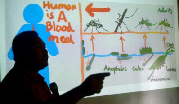 Berolahraga Pagi Cegah Penularan DBD