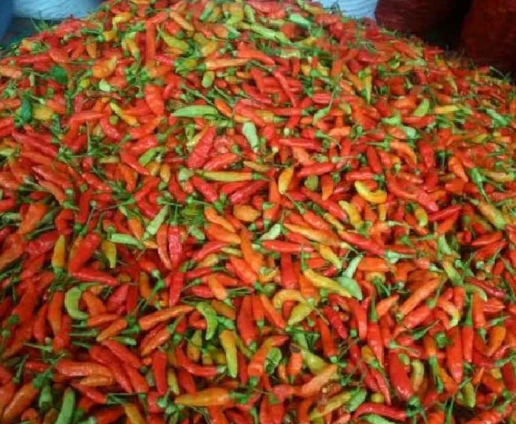 Keterbatasan Stok Picu Kenaikan Harga Cabai di Merauke