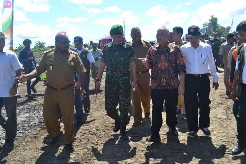 Di Merauke,  Dirjen Tanaman Pangan Panen Raya dan  Tanam Perdana Musim Tanam Gadu 