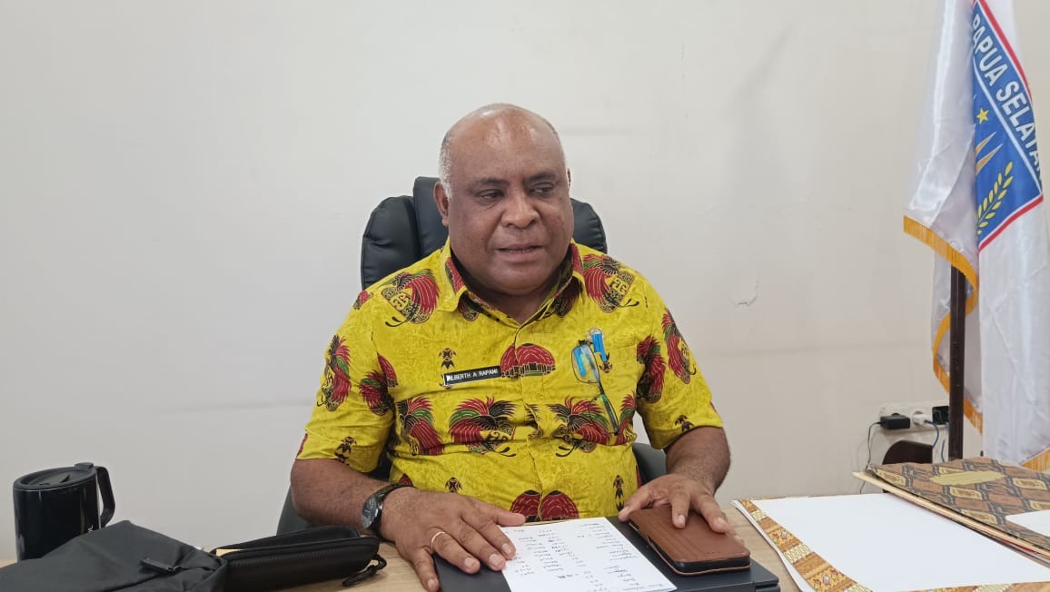 Pengumuman Kelulusan CPNS 2024 Papua Selatan Tunggu Hasil Integrasi SKD dan SKB