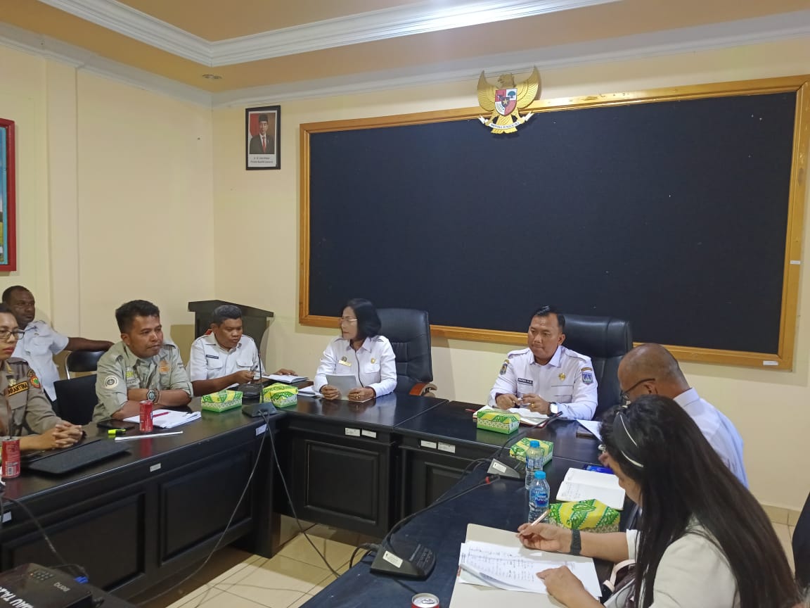 18 Ekor Babi di Merauke Mati Mendadak Diserang Penyakit Anthrax