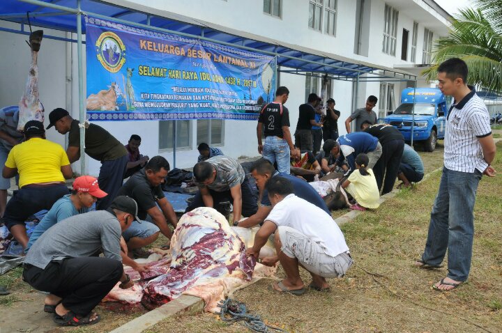 Lantamal XI Sembelih 5 Sapi dan 1 Kambing Pada Hari Idul Adha 1438 H