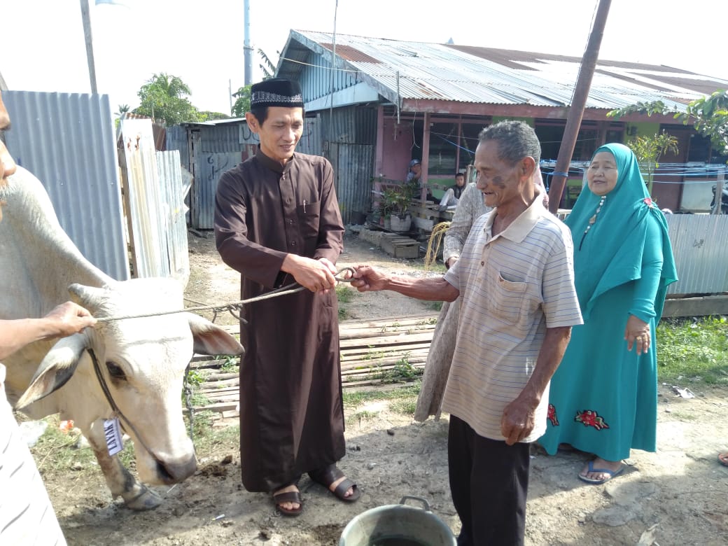 Wabup Merauke Sumbangkan Lima Ekor Sapi Kurban