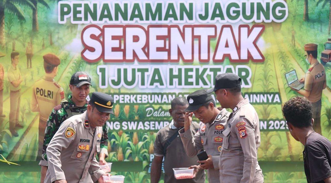 Dukung Swasembada Pangan, Polres Merauke Tanam Jagung 10 Hektar