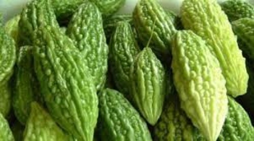 Pare Makanan Pahit Dengan Segudang Manfaat Bagi Wanita Indonesia