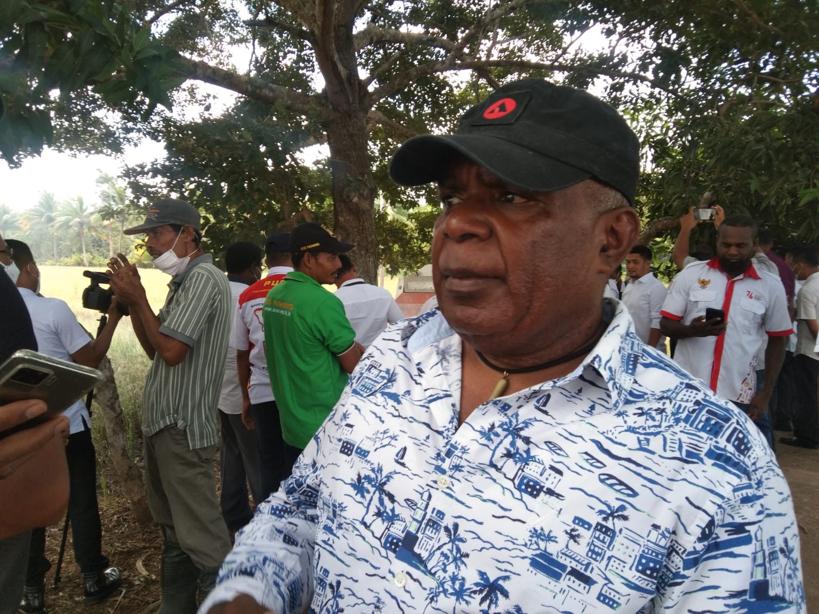 Bupati Merauke Panen Tiga Varietas Padi di Lahan Miliknya