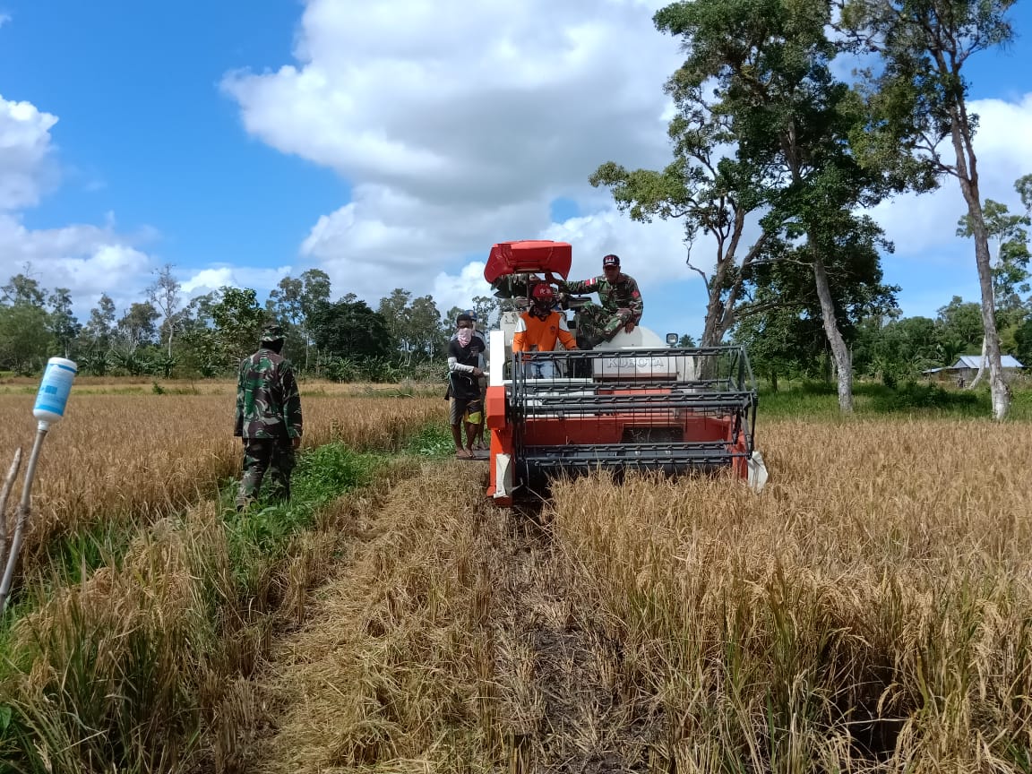 Masyarakat Perbatasan Kembali Nikmat Hasil Panen