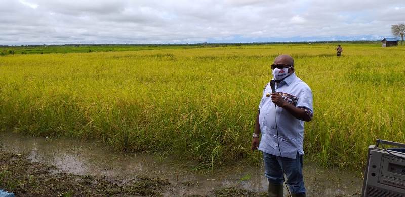 Kesetaraan Petani OAP dan Pendatang di Merauke Mulai Nampak