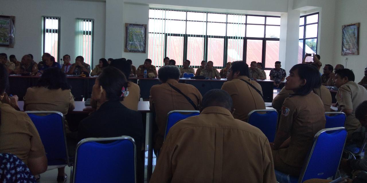 Kabupaten Merauke Revisi Renstra OPD Menindaklanjuti RPJMD 2019-2021