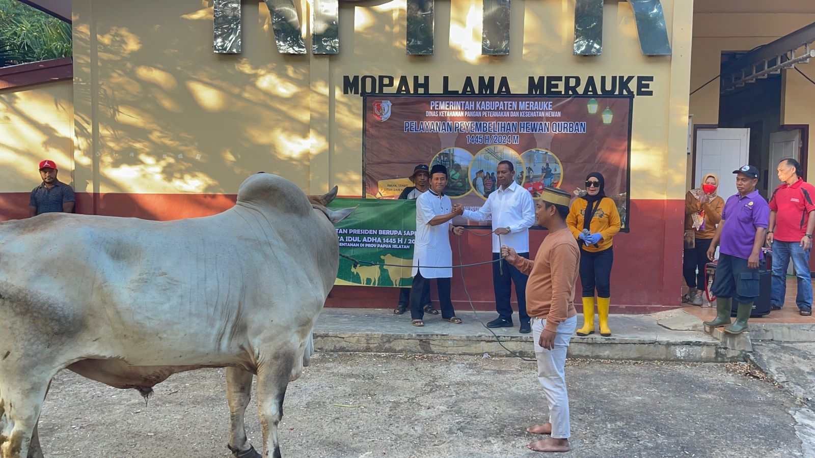 Sapi Jenis Peranakan Ongole Bantuan Presiden Jokowi Diserahkan di Masjid Nurul Huda Merauke