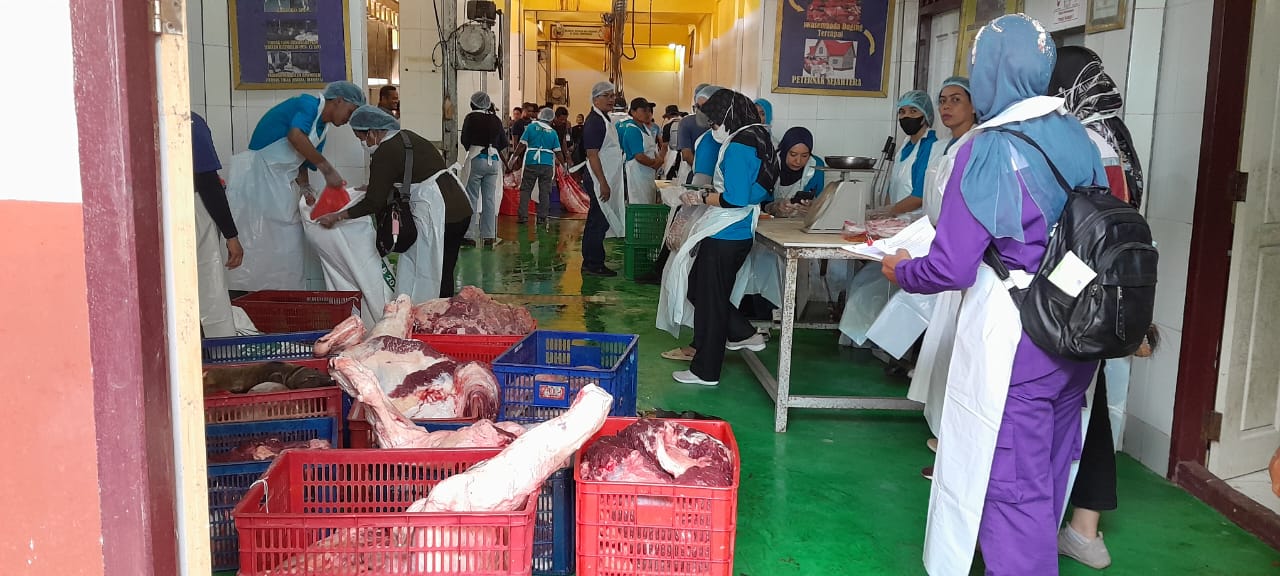 Rumah Potong Hewan Merauke Layani 115 Ekor Sapi Kurban