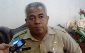 Dari 29 Kabupaten Merauke Termasuk Wilayah Pengembangan Pokok