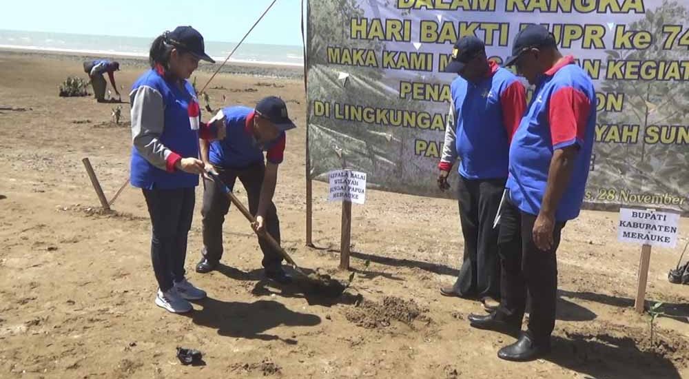 BWS Papua Tanam Mangrove di Pantai Urumb Guna Cegah Abrasi