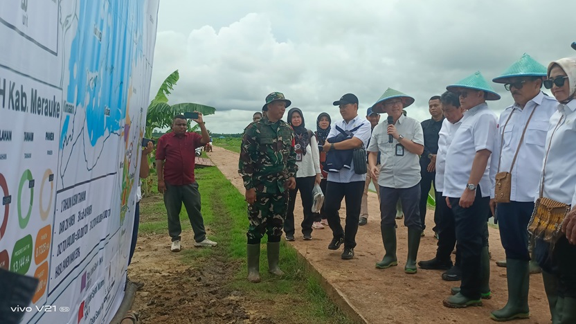 Tim Komisi IV DPR RI Tinjau Lahan Pertanian di Salor Merauke
