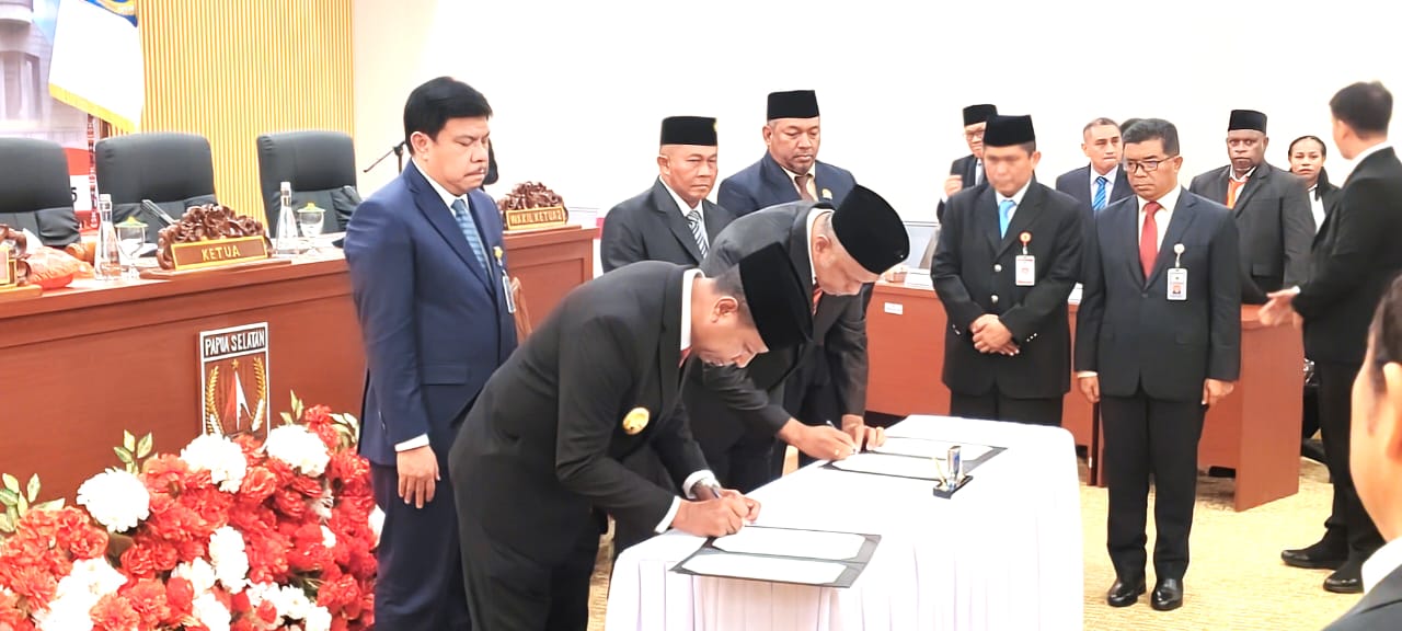 LHP BPK RI, Pemrov Papua Selatan Mendapat Predikat WDP Atas LKPD TA 2024