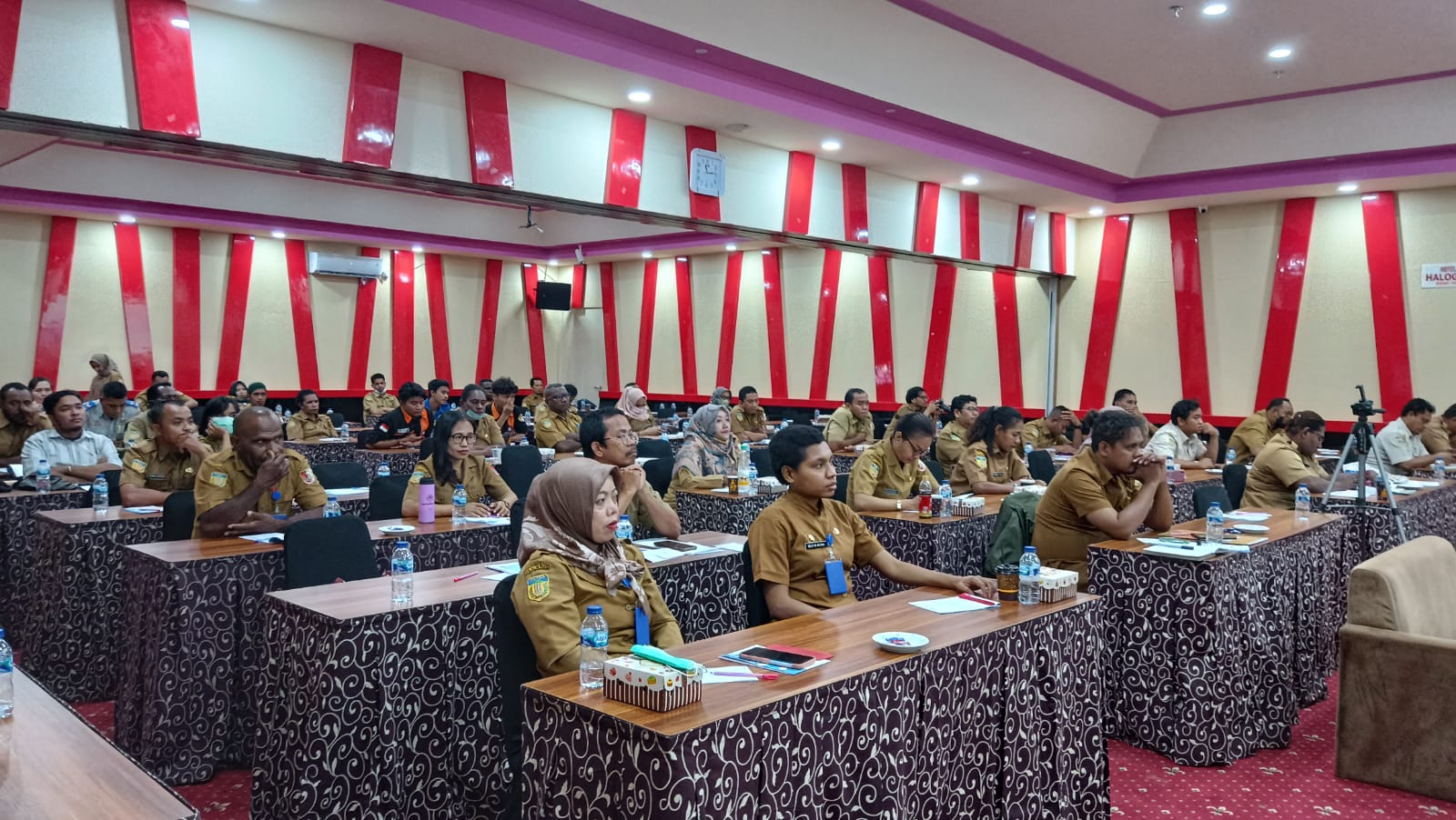 Perwakilan OPD Merauke Ikuti Workshop E-Government Penerapan SPBE
