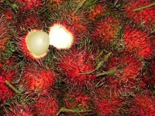 Musim Rambutan, Banyak Pedagang Dadakan Bermunculan di Kota Merauke