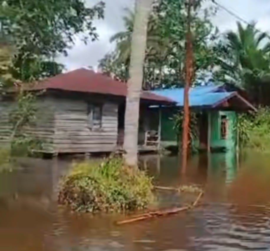 Bupati Merauke Akan Kunjungi Warga Terdampak Banjir di Poo