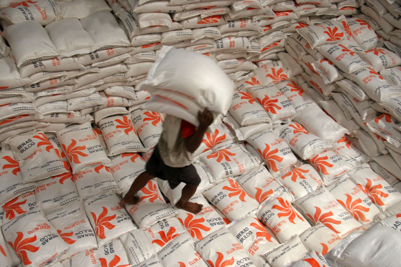 Stok Beras di Gudang Bulog Merauke 11.000 Ton