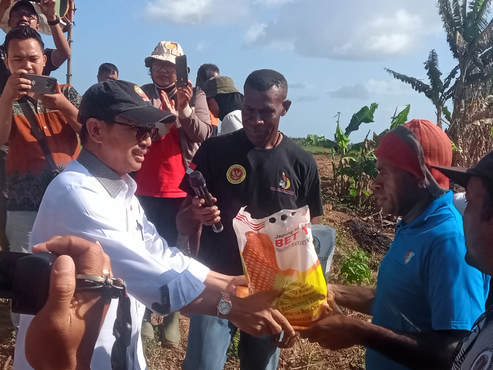 50 Hektar Lahan Digarap Untuk Tanam Jagung Hybrida
