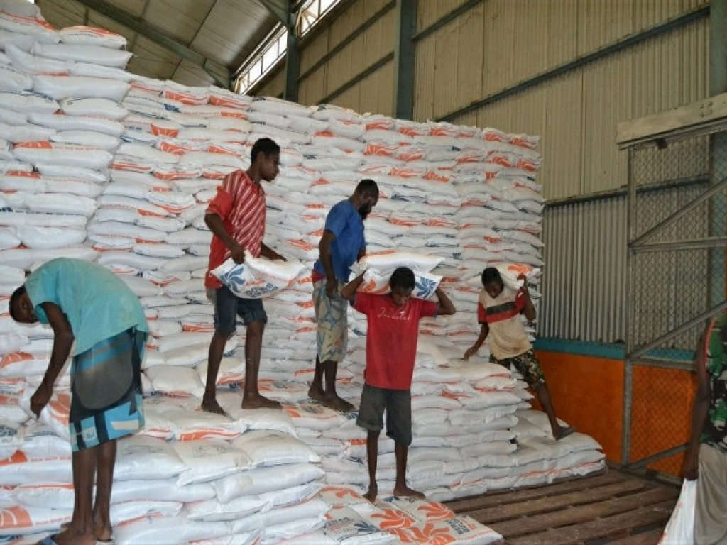 Bulog Merauke Akan Serap 24.800 Ton Petani