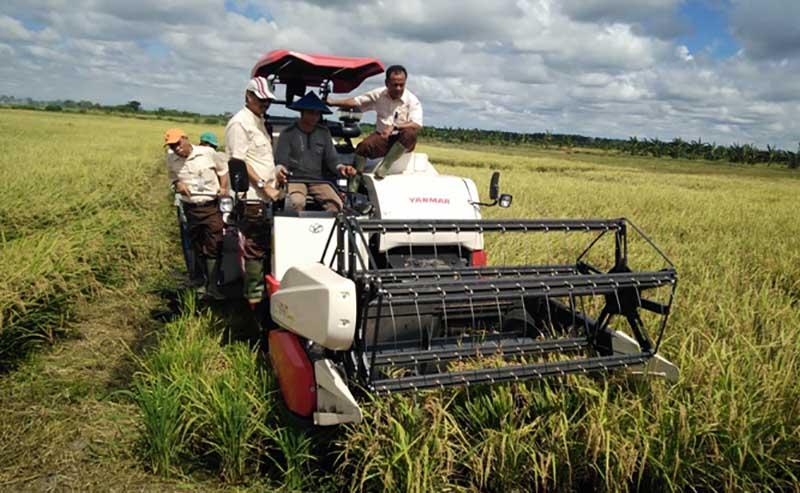 Kabulog : tinggal 1.000 ton lagi target pembelian beras Bulog Merauke tercapai