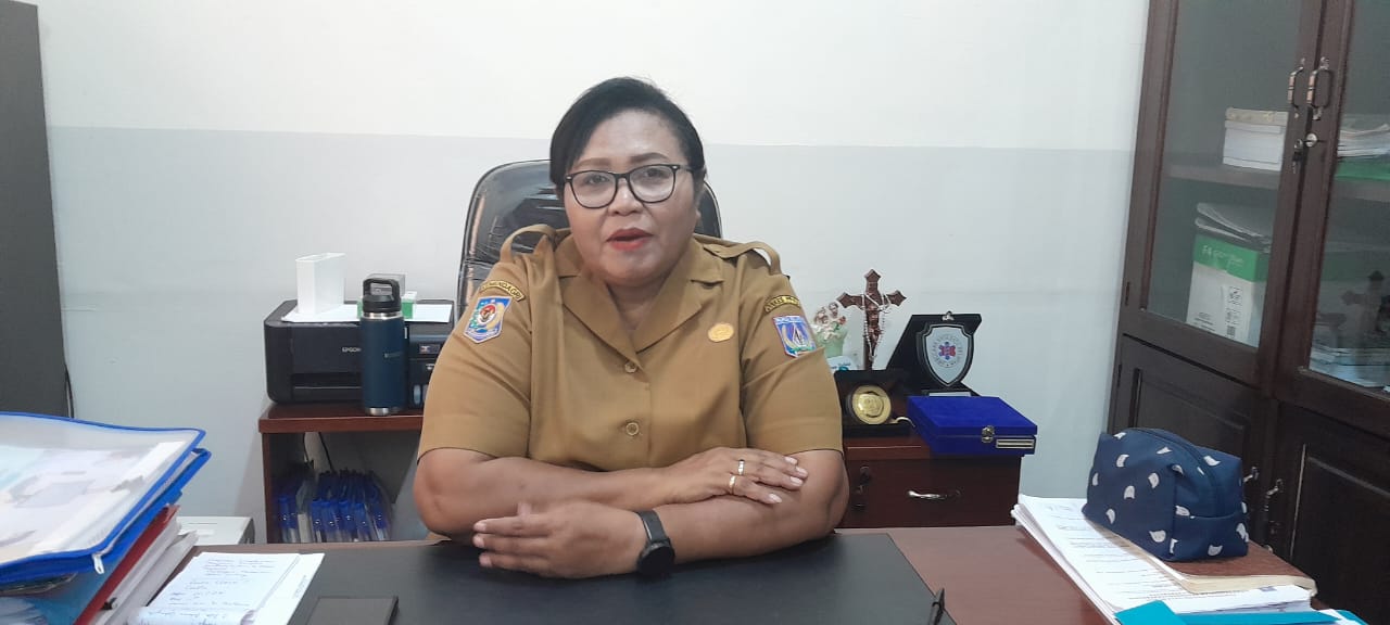 Pemerintah Pusat Siapkan Program Cek Kesehatan Gratis
