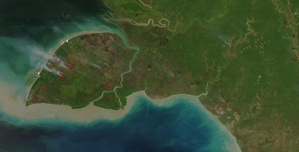 Pencari Kerja di Merauke Masih Berorientasi PNS