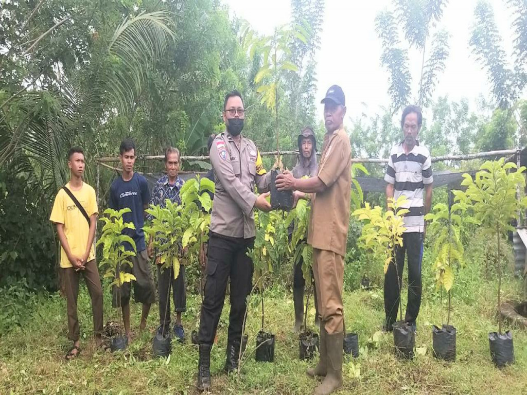 Kelompok Tani Seed Agung Terima Bantuan Bibit Kopi