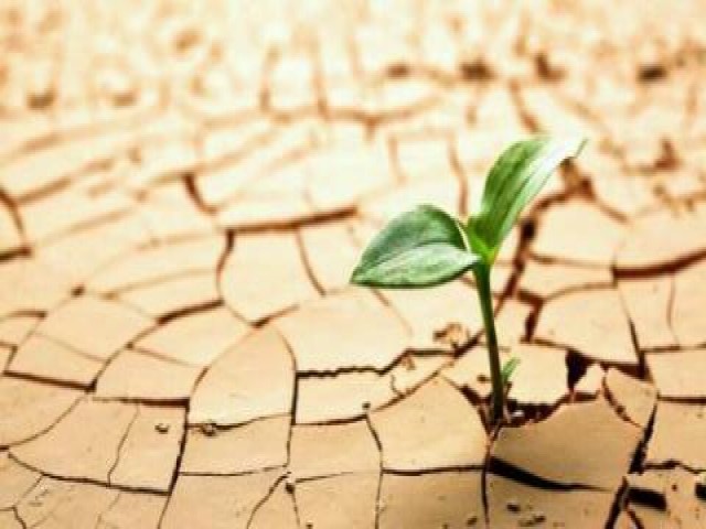 Ratusan Umat Muslim Merauke Gelar Shalat Istisqa Minta Hujan