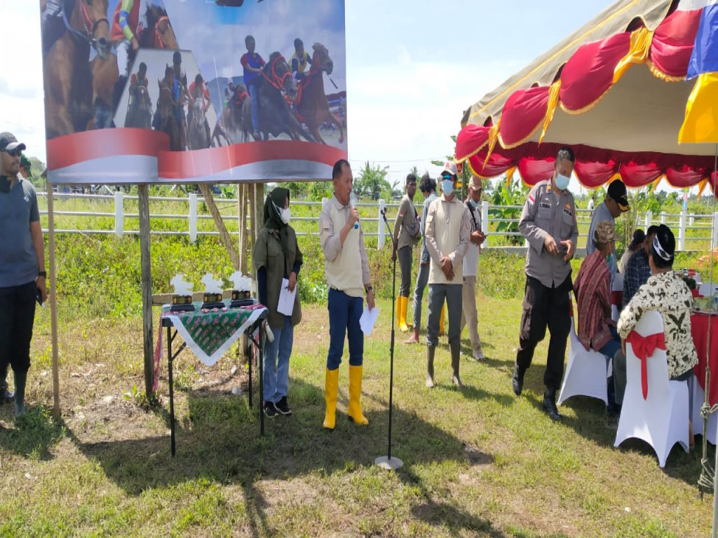 Puluhan Joki Ikut Meriahkan Lomba Pacuan Kuda di Merauke