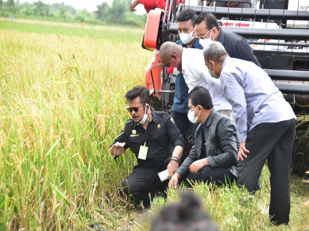 Mentan SYL Salurkan Bantuan Senilai Rp 19,43 Miliar di Merauke