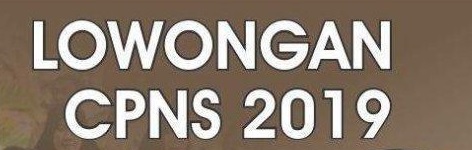 Penerimaan CPNS & PPPK 2019 Dibuka Lagi via sscasn.bkn.go.id, Jadwal dan Formasinya