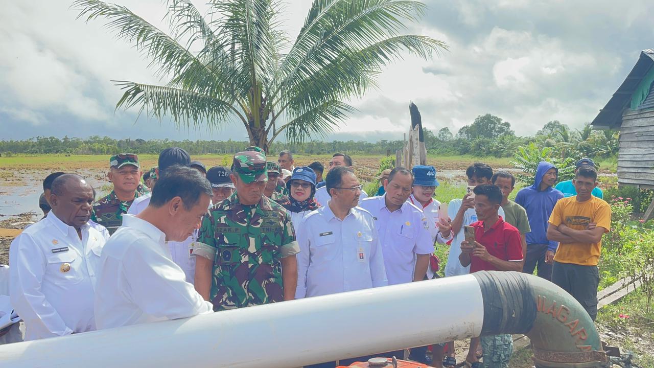 Mentan Cek Pompanisasi di Merauke, Targetkan Pertanian Modern