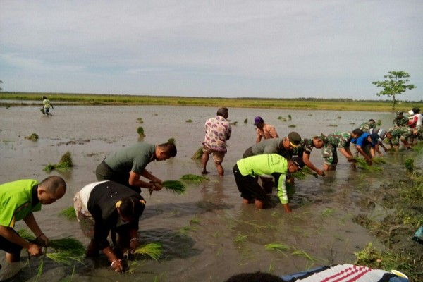 Kodim 1707/Merauke dorong perluasan lahan padi