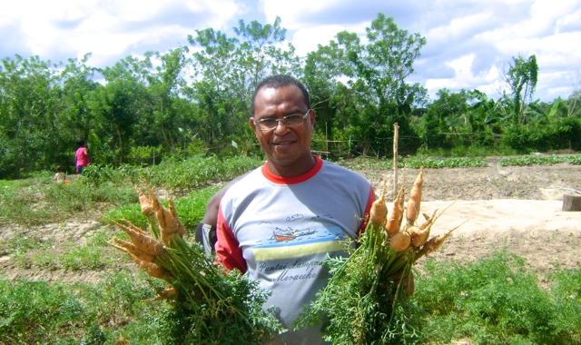 Menanti Perbaikan Tata Kelola Air Lahan Pertanian Merauke