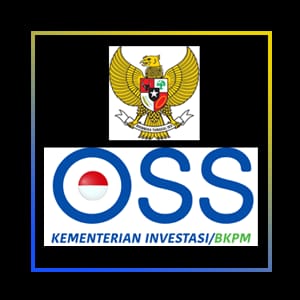 Izin Terbit Otomatis OSS Bisa Terlayani Kalau Sudah Verifikasi KTP