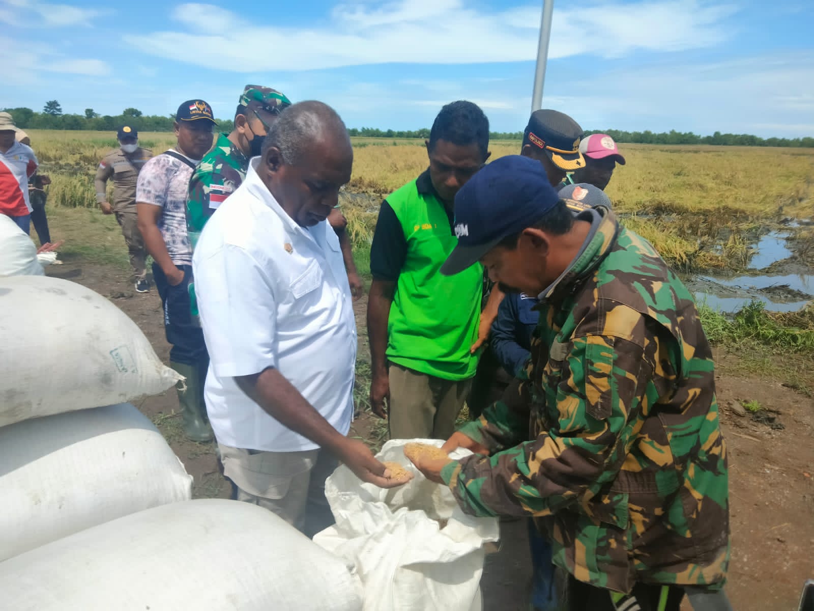 Hadiri Panen Padi di Bokem, Bupati Merauke Sanggupi Permintaan Petani