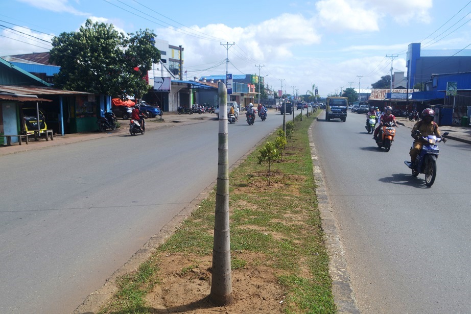 Disayangkan, Pohon Sepanjang Median Jalan Brawijaya Dipotong OTK