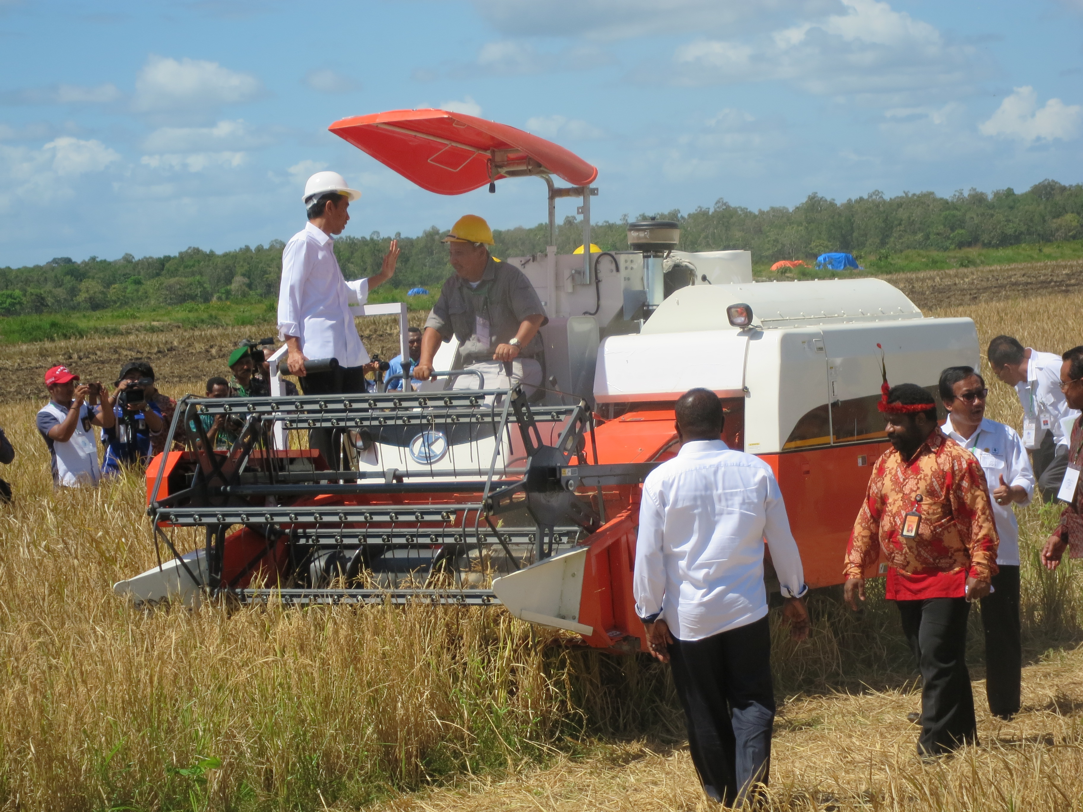1,2 Juta Ha Lahan Merauke Siap untuk Perluasan Jagung, Gula dan Sapi