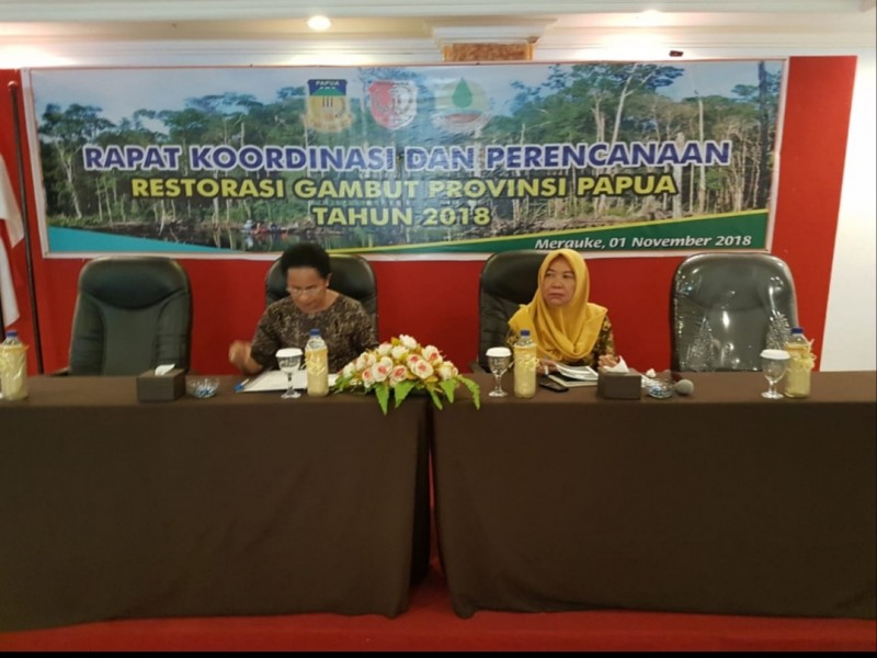 Pemprov Papua Dukung Program Restorasi Gambut di Merauke