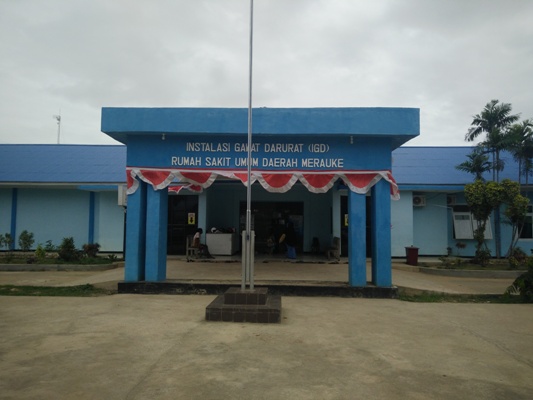 Dokter Penyakit Dalam Jepang Meneliti di RSUD Merauke