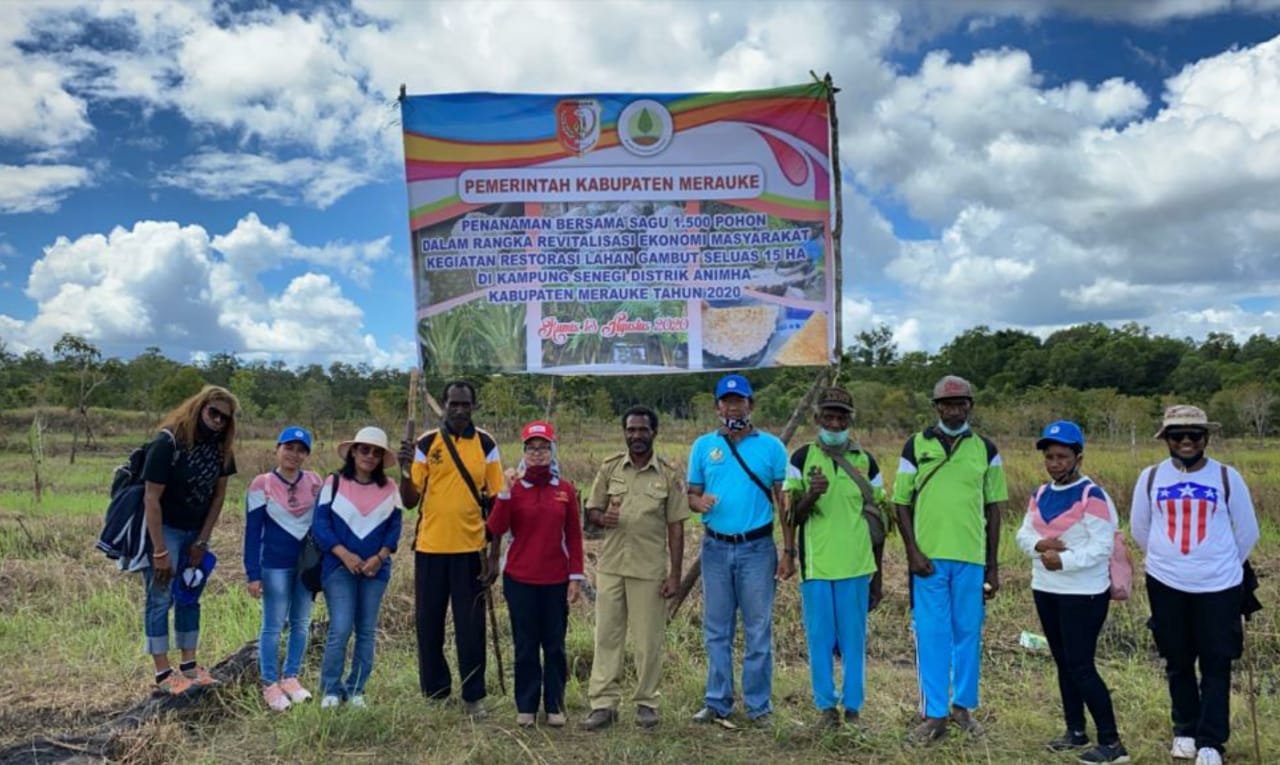 Sebanyak 1.500 Bibit Pohon Sagu ditanam Di Lahan Gambut Seluas 15 hektar di Kampung Senegi