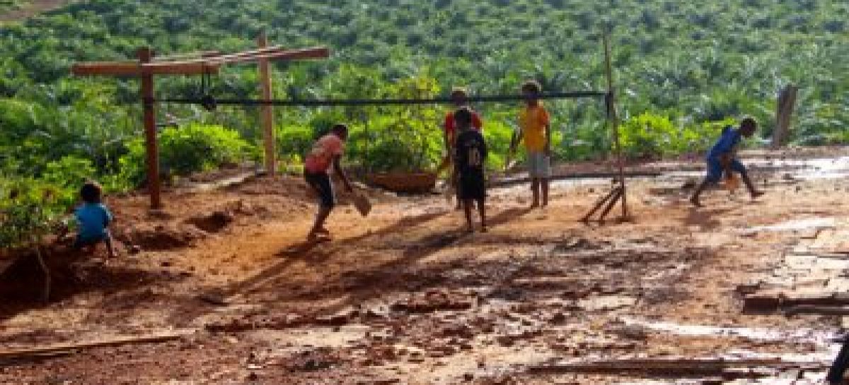 Soal Investasi Sawit, Begini Kata Bupati Merauke