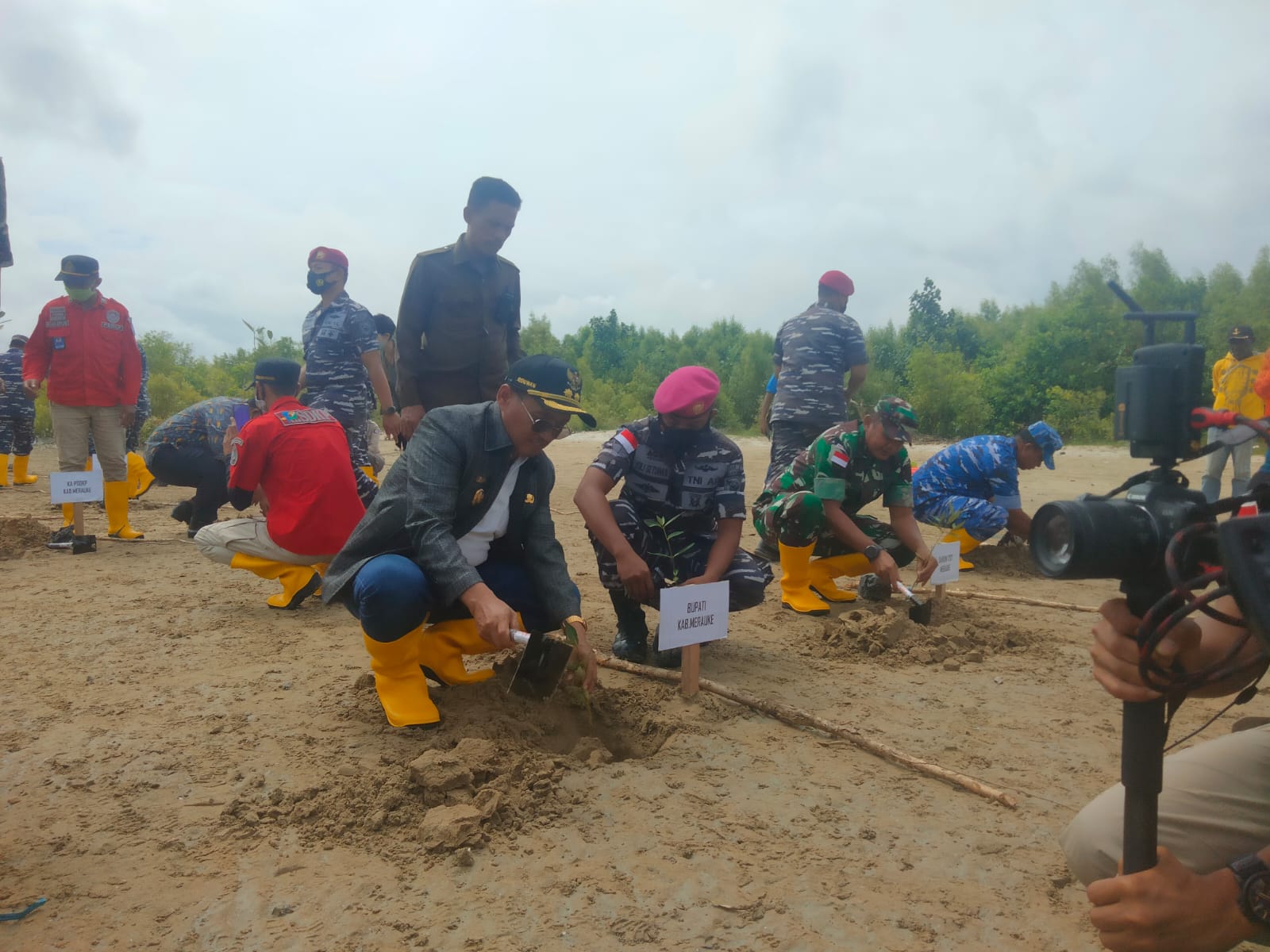 Cegah Abrasi Pantai, Lantamal XI Tanam Mangrove di Dua Titik 