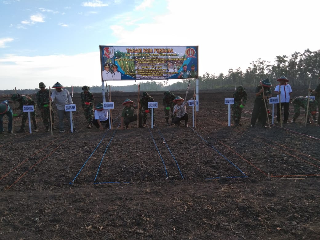 Aster Kasad Melakukan Penanaman Di Lahan Baru Seluas 150 Hektar